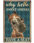 Horse Why Hello Sweet Cheeks Have A Seat Poster - Awesome Tee Fashion
