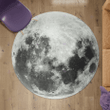 Moon surface round rug