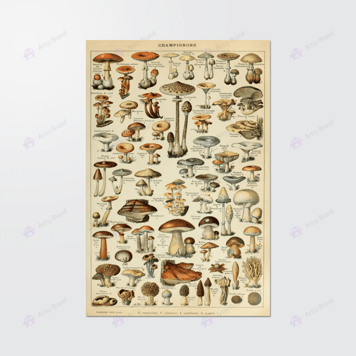 Mushroom vintage bookplate poster
