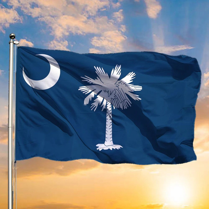 Sc State Flag New Sc Flag State Of South Carolina Banner Indoor Outdoor Hanging