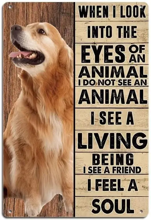 Golden Retriever Metal Tin Sign