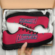 NCAA Delaware State Hornets Running Shoes