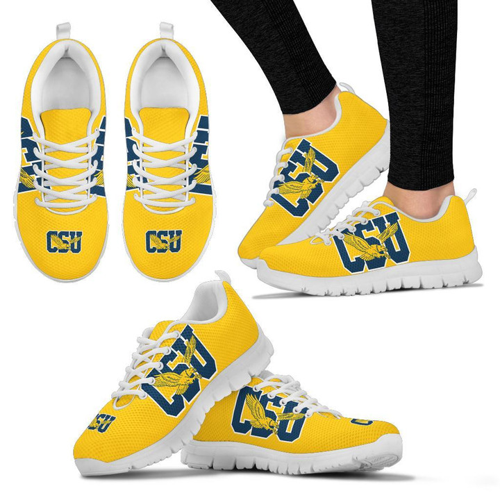 NCAA Coppin State Eagles Running Shoes