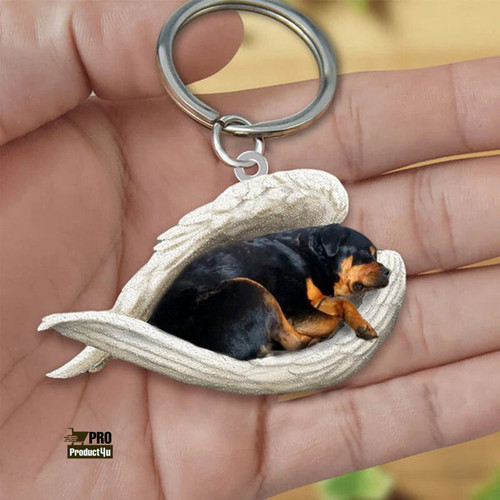 dog sleeping angel keychain