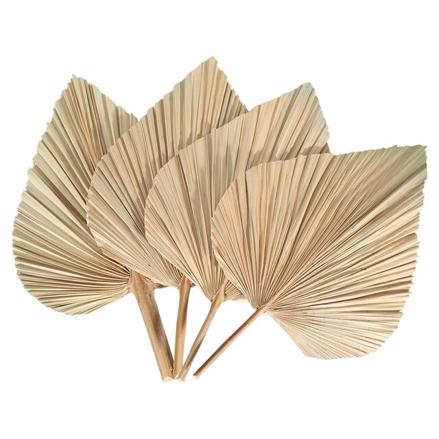 4Pcs Natural Dried Palm Leaves Tropical Dried Palm Fans Decor For Boho Home
