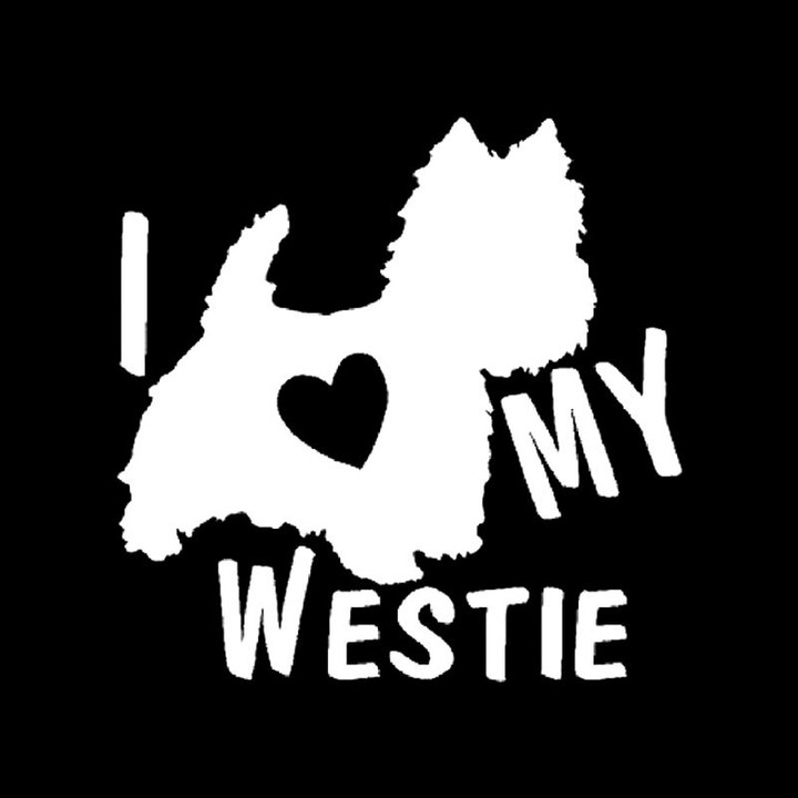 I LOVE MY WESTIE Car Sticker