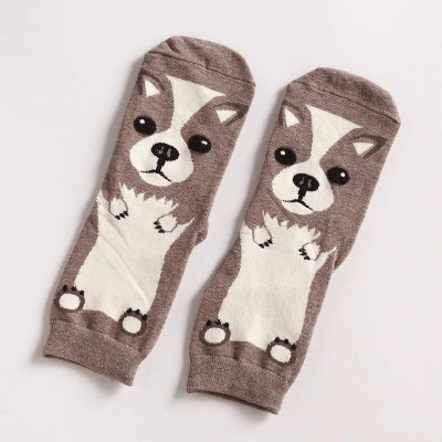 Colorful corgi-themed socks for dog lovers