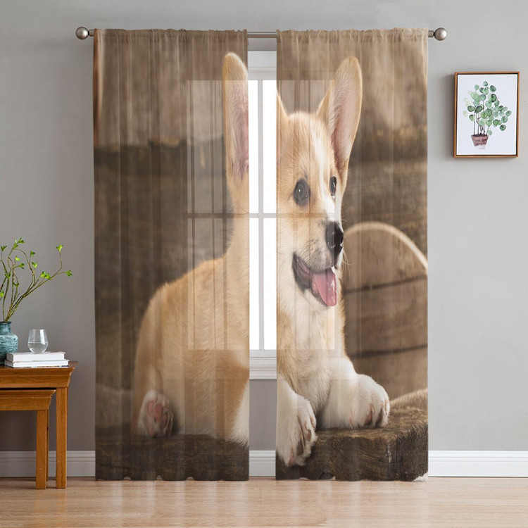 Corgi Puppy Sheer Window Curtains