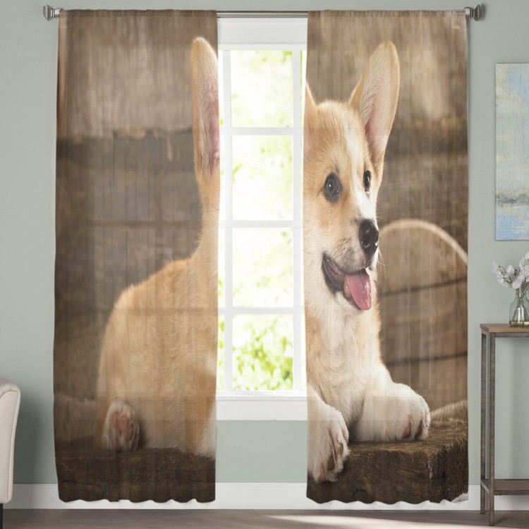 Corgi Puppy Sheer Window Curtains