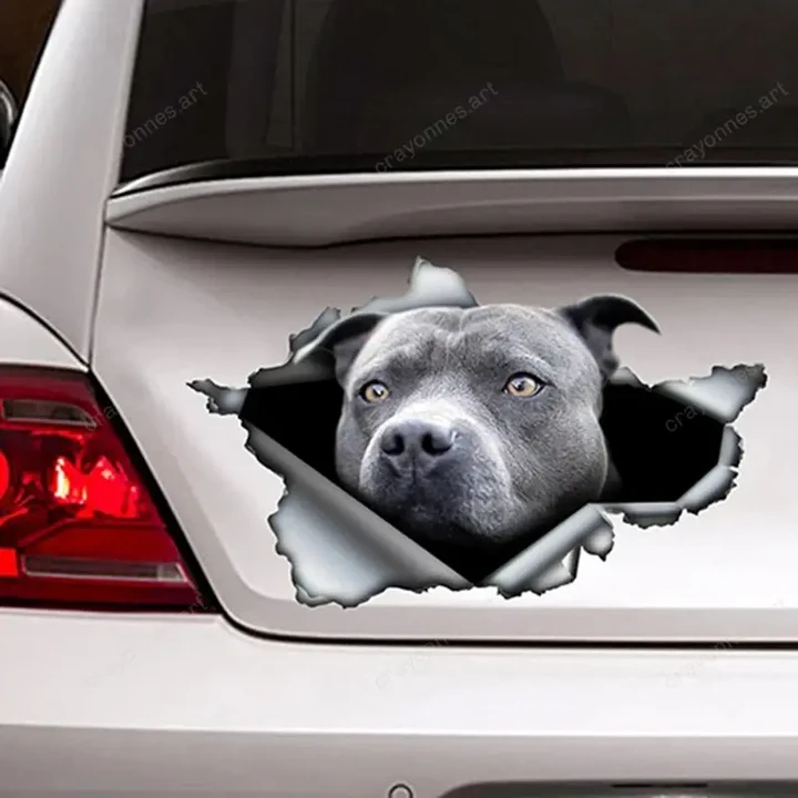 SO10513051 Blue Pitbull Car Sticker