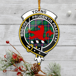 Scottish Young Modern Clan Tartan Mica Ornament Christmas Decoratio - 2-Sided  Scottish Plaid Tartan Plaid