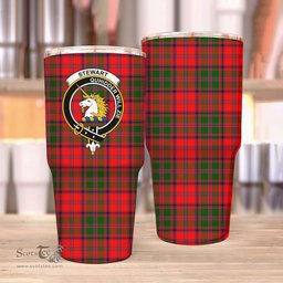 Scottish Stewart (of Appin) Clan Tartan Tumbler - Stainless Steel Glitter Tumbler Scottish Plaid Tartan Plaid