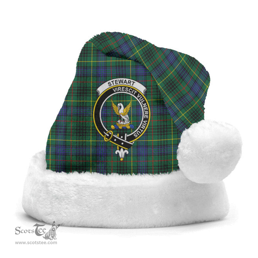 Scottish Stewart Hunting Modern Clan Tartan Crest Plaid Christmas Hat Scottish Plaid - Tartan Plaid - ScotsTee
