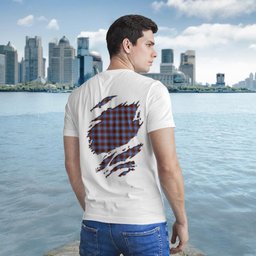Scottish SkirvClan Ing Clan In Me Tartan T-shirt Scottish Plaid Tartan Plaid - ScotsTee - scotstee.com