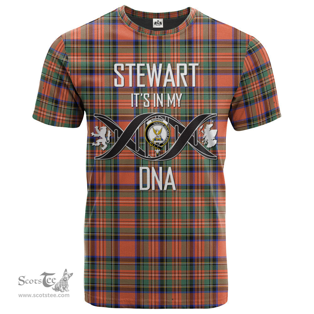 Scottish Stewart Royal Ancient Its In My DNA Plaid Family Crest Tartan T Shirt Scottish Plaid Tartan Plaid - ScotsTee - scotstee.com