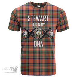 Scottish Stewart Royal Ancient Its In My DNA Plaid Family Crest Tartan T Shirt Scottish Plaid Tartan Plaid - ScotsTee - scotstee.com