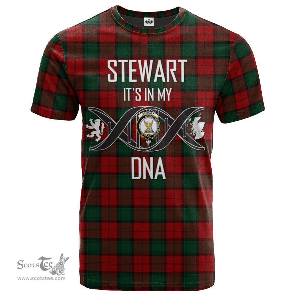 Scottish Stewart of Atholl Its In My DNA Plaid Family Crest Tartan T Shirt Scottish Plaid Tartan Plaid - ScotsTee - scotstee.com