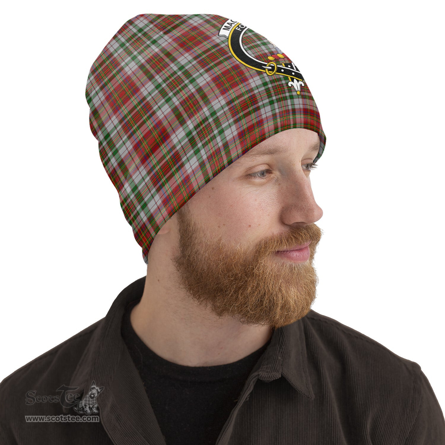 Scottish MacAlister Dress Tartan Beanies Hat with Family Crest - Tartan Plaid Beanies Scottish Plaid Tartan Plaid - ScotsTee - scotstee.com