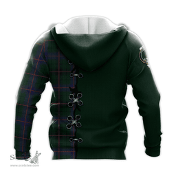 Scottish Davidson Modern Clan Tartan Hoodie - Lion Rampant And Celtic Thistle Style Scottish Plaid Tartan Plaid