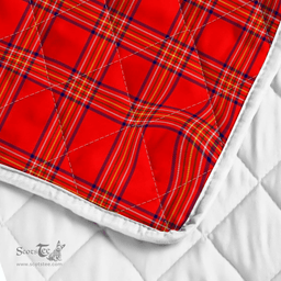 Scottish Burnett Clan Badge Tartan Plaid Lion Crest Premium Quilt Scottish Plaid Tartan Plaid - ScotsTee - scotstee.com