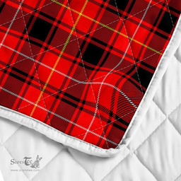 Scottish Maciver Clan Badge Tartan Plaid Lion Crest Premium Quilt Scottish Plaid Tartan Plaid - ScotsTee - scotstee.com