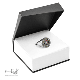 Scottish Brodie Silver (Brodie Muted) Ancient Clan Tartan Ring - Crest Classic Scottish Plaid Tartan Plaid
