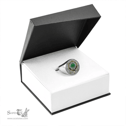 Scottish Irvine of Glentulchan Weathered Clan Tartan Ring - Crest Classic Scottish Plaid Tartan Plaid