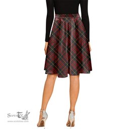 Scottish MacAlister of Skye Tartan Melete Pleated Midi Skirt - Tartan Plaid Midi Skirt Scottish Plaid Tartan Plaid - ScotsTee - scotstee.com