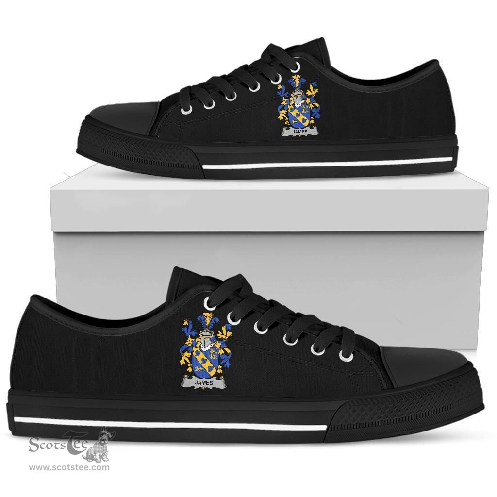 Irish James Coat of Arms Family Crest Ireland Low Top Shoes (Women's/Men's) Black/ White Irish Shoes