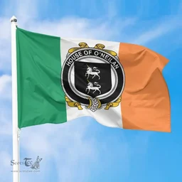 Irish House of O'NEILAN Ireland Flag and Irish Family Crest Green, White and Orange Flags