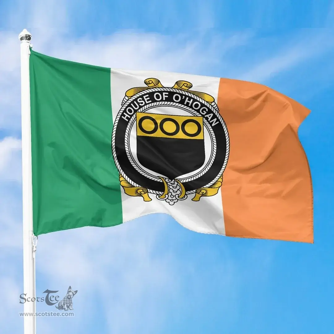 Irish House of O'HOGAN Ireland Flag and Irish Family Crest Green, White and Orange Flags