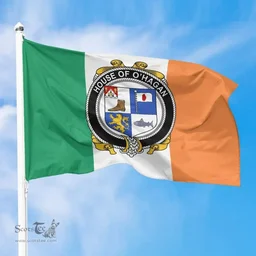Irish House of O'HAGAN Ireland Flag and Irish Family Crest Green, White and Orange Flags