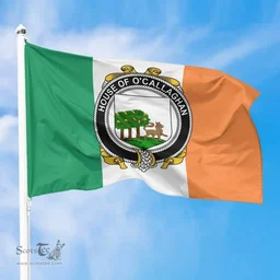Irish House of O'CALLAGHAN Ireland Flag and Irish Family Crest Green, White and Orange Flags