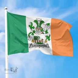 Irish Callaghan or O'Callaghan Ireland Flag and Irish Family Crest Green, White and Orange Flags