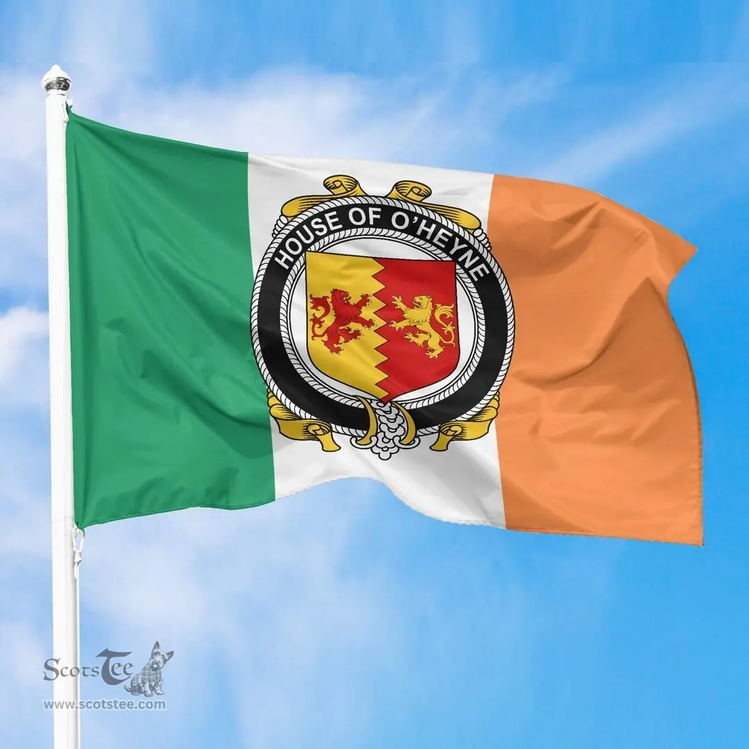 Irish House of O'HEYNE Ireland Flag and Irish Family Crest Green, White and Orange Flags