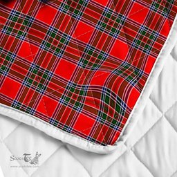 Scottish Binning Of Wallifoord Clan Badge Tartan Royal Scottish Unicorn Tartan Quilt