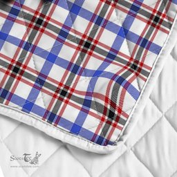 Scottish Boswell Clan Badge Tartan Royal Scottish Unicorn Tartan Quilt