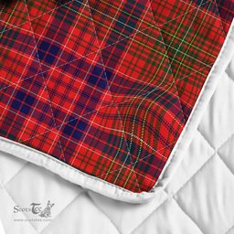 Scottish Lumsden Clan Badge Tartan Royal Scottish Unicorn Tartan Quilt