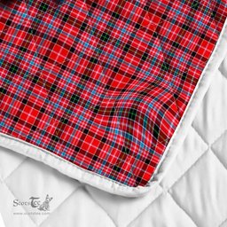 Scottish Straiton Clan Badge Tartan Royal Scottish Unicorn Tartan Quilt