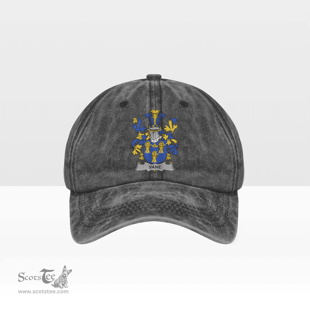 Irish Vane Coat of Arms Family Crest Ireland Denim Cap