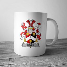 Irish Hayes Coat of Arms Family Crest Ireland Mug Irish Mug