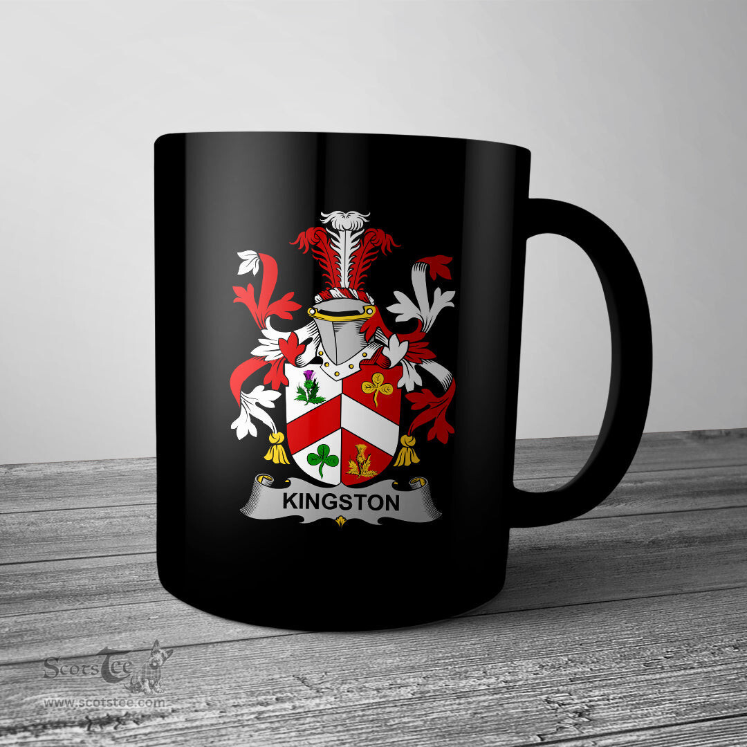 Irish Kingston Coat of Arms Family Crest Ireland Mug Irish Mug