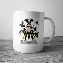 Irish Young Coat of Arms Family Crest Ireland Mug Irish Mug