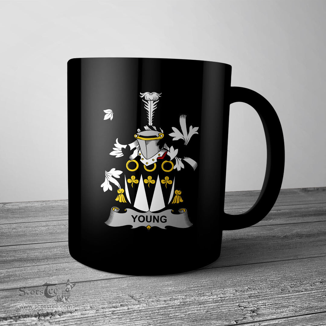 Irish Young Coat of Arms Family Crest Ireland Mug Irish Mug