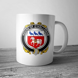 Irish House of O HALLORAN Coat of Arms Family Crest Ireland Mug Irish Mug