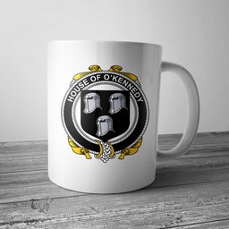 Irish House of O KENNEDY Coat of Arms Family Crest Ireland Mug Irish Mug