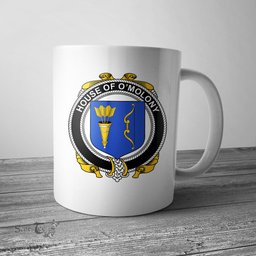 Irish House of O MOLONY Coat of Arms Family Crest Ireland Mug Irish Mug