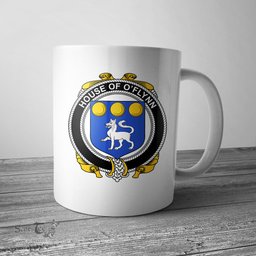 Irish House of O FLYNN Coat of Arms Family Crest Ireland Mug Irish Mug