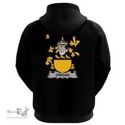 Irish Owgan Coat Of Arms Family Crest Irish Hoodie Classic