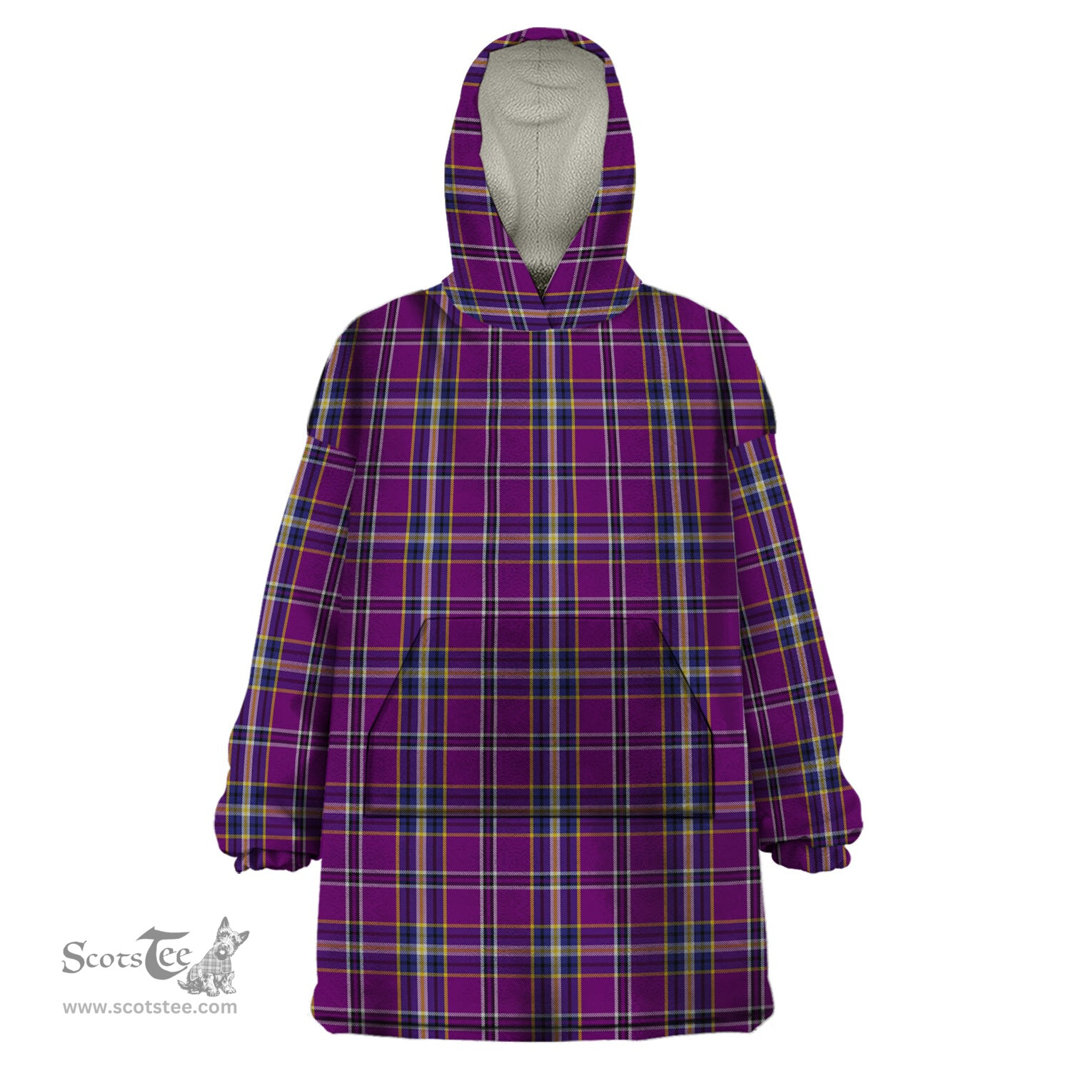 Scottish Regan Clan Tartan Snuggie Hoodie Plaid Wearable Blanket Hoodie